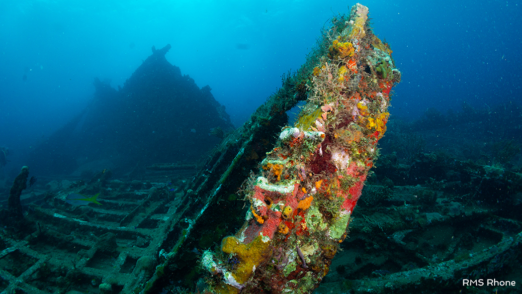 Stacks Image 71