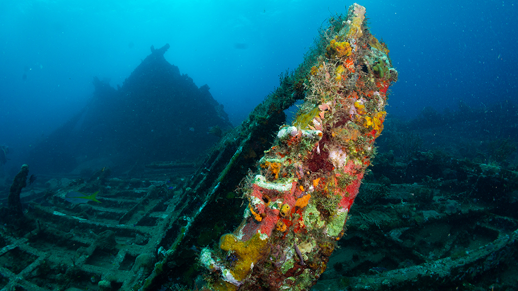 Stacks Image 118