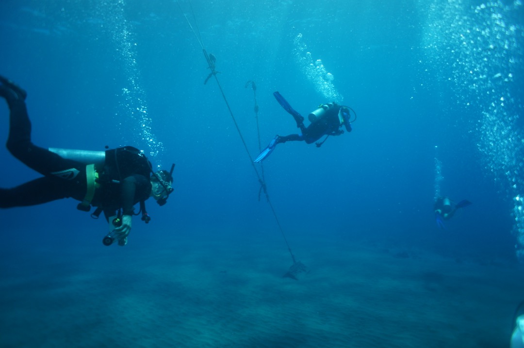 Divers over sand in Maui