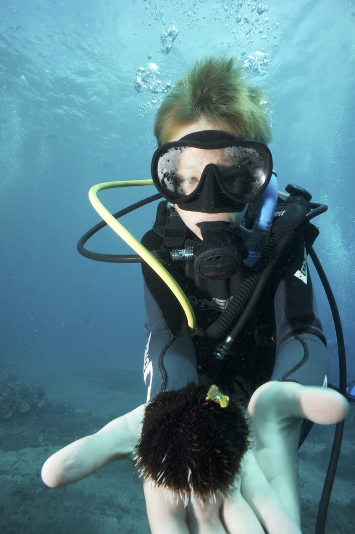 Devin with an urchin