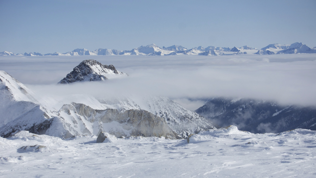 On top of Tenderfoot Glacier