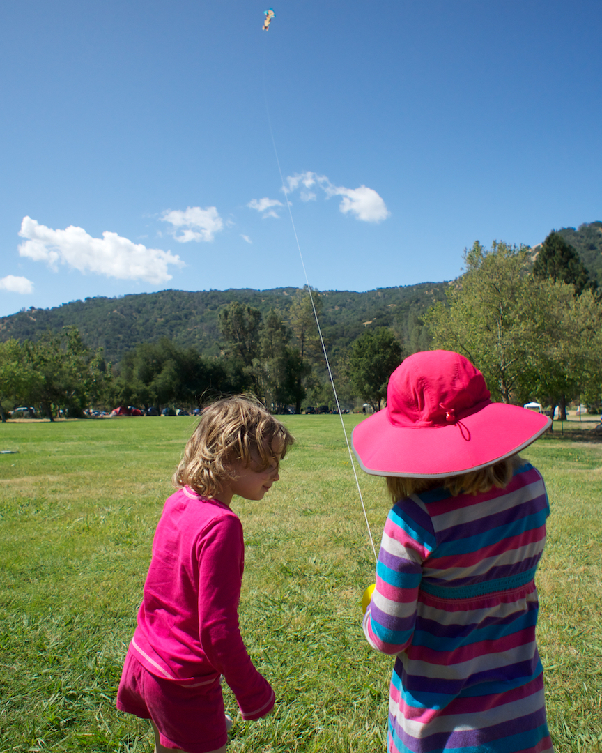 Flying kites on the lawn