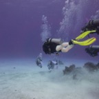Cozumel 2017 (1 of 52).jpg
