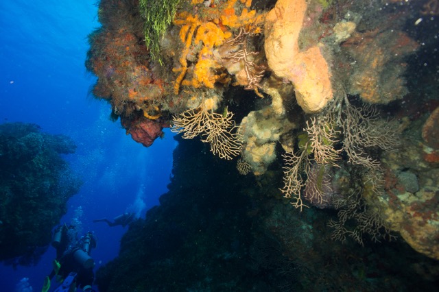 Cozumel 2017 (5 of 52).jpg