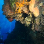 Cozumel 2017 (5 of 52).jpg