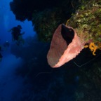 Cozumel 2017 (6 of 52).jpg