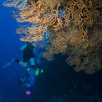 Cozumel 2017 (9 of 52).jpg
