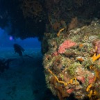 Cozumel 2017 (11 of 52).jpg