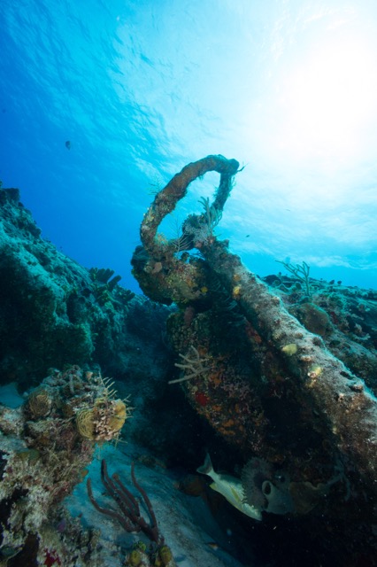 Cozumel 2017 (12 of 52).jpg