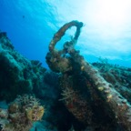 Cozumel 2017 (12 of 52).jpg