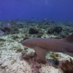 Cozumel 2017 (20 of 52).jpg