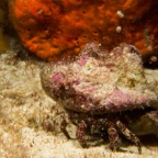 Cozumel 2017 (26 of 52).jpg