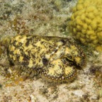Cozumel 2017 (32 of 52).jpg