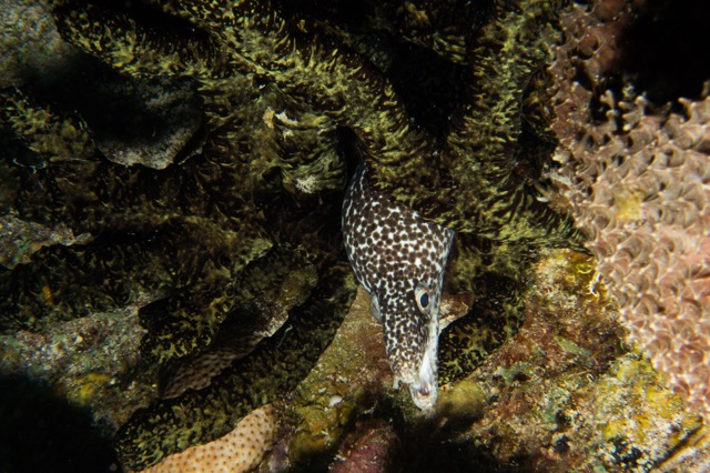 Cozumel 2017 (33 of 52).jpg