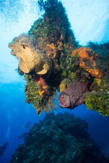 Cozumel 2017 (34 of 52).jpg