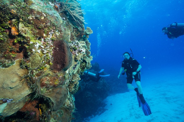 Cozumel 2017 (36 of 52).jpg