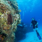 Cozumel 2017 (36 of 52).jpg