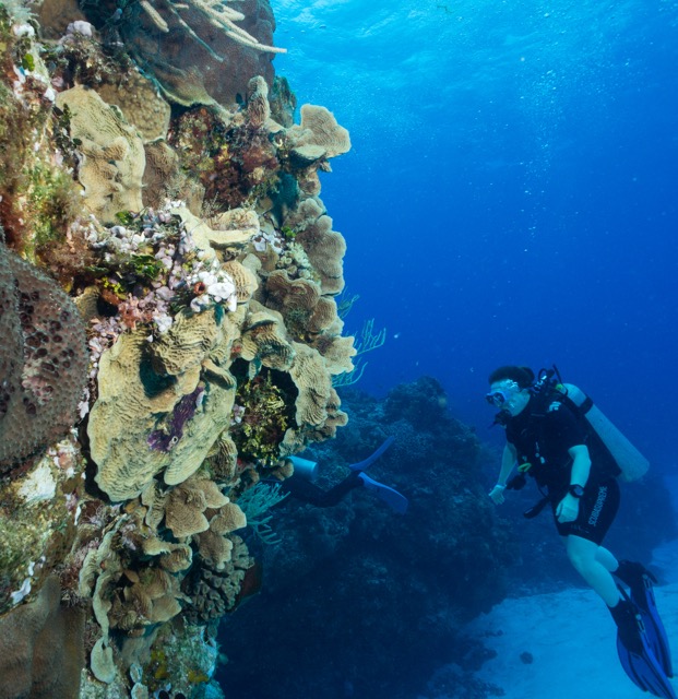 Cozumel 2017 (37 of 52).jpg