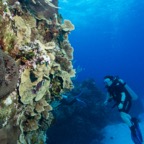 Cozumel 2017 (37 of 52).jpg