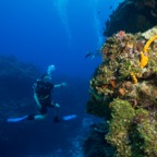 Cozumel 2017 (39 of 52).jpg