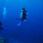 Cozumel 2017 (44 of 52).jpg