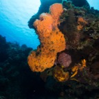 Cozumel 2017 (46 of 52).jpg
