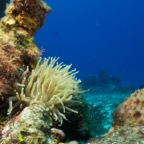 Cozumel 2017 (48 of 52).jpg