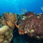 Cozumel 2017 (52 of 52).jpg