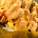 DSC03406.jpg
